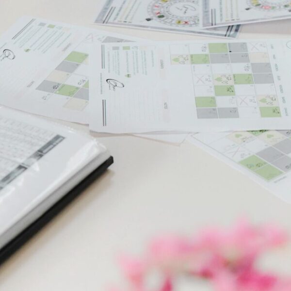 La carte énergétique est un outil rapide et personnalisé pour harmoniser votre espace avec des actions concrètes. Une expertise complète inclut une analyse approfondie de toute votre maison;